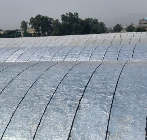 WhatsApp Image 2025-12-23 at 11.43.08 PM